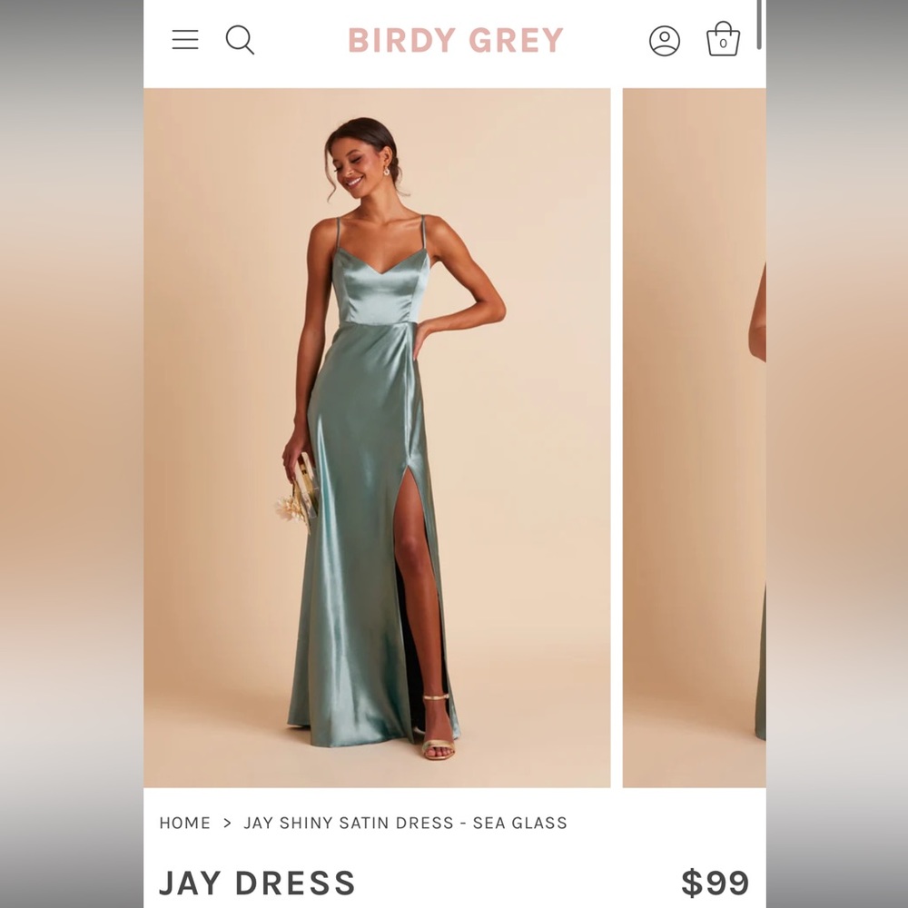 Birdy Grey formal dress